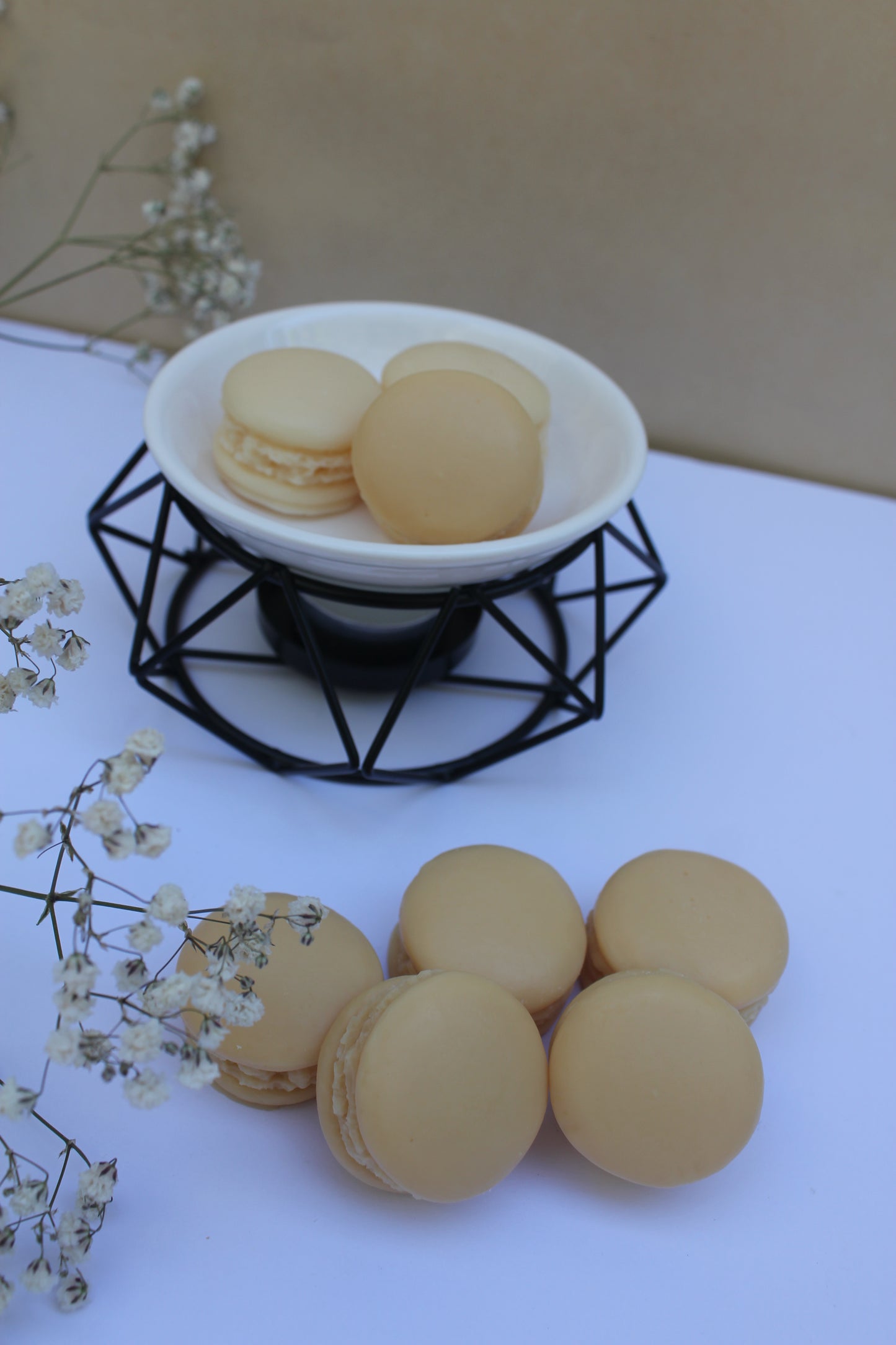 Macaron Wax Melts (Pack of 6)
